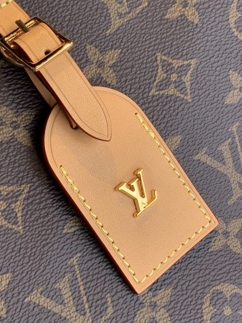 LV Hobo Bags